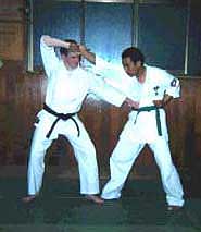Photograph 1. The application of the posture. The right hand pulls the opponent's right hand to break his balance as the left hand strikes into the lower body. Possible kyusho targets are denko (GB-24) or inazuma (Liv-13). The idea here is to inflict damage on the opponent before throwing.
