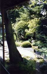 A view of Hearn’s beloved garden.