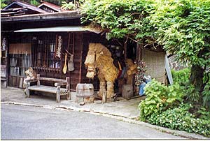 NAKASENDO013