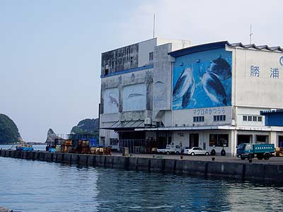 old_way_kuman-18
