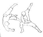 physics_aikido_12